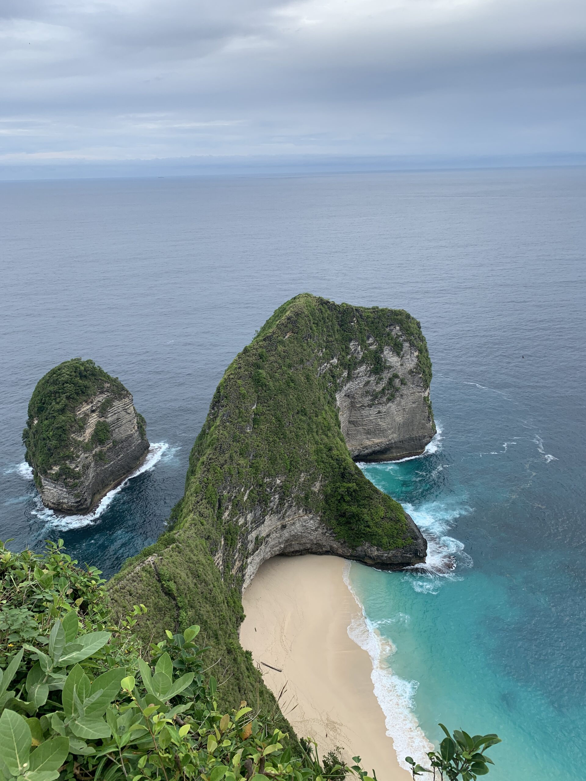T-Rex Head Point Bali