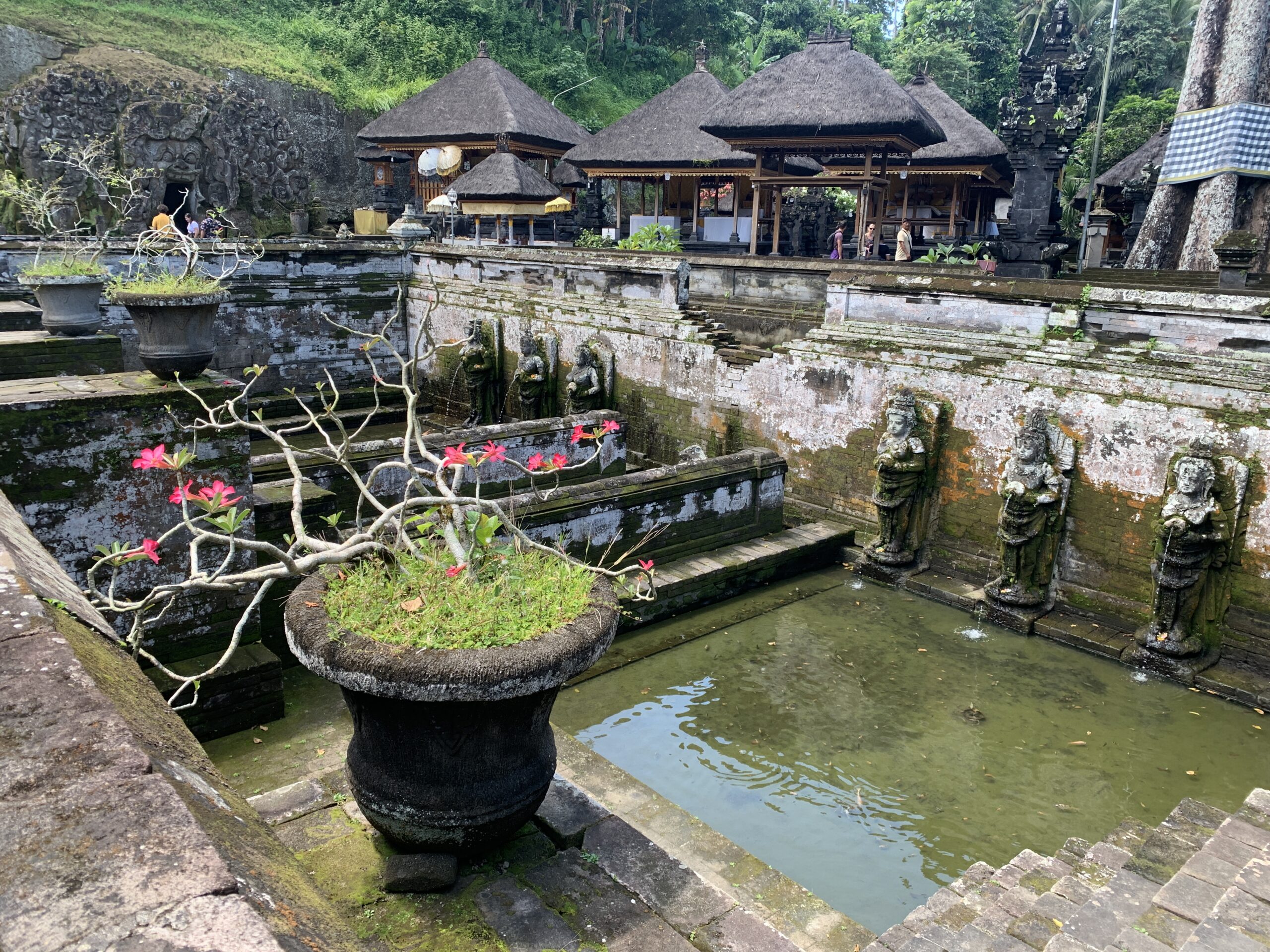 goa gajah