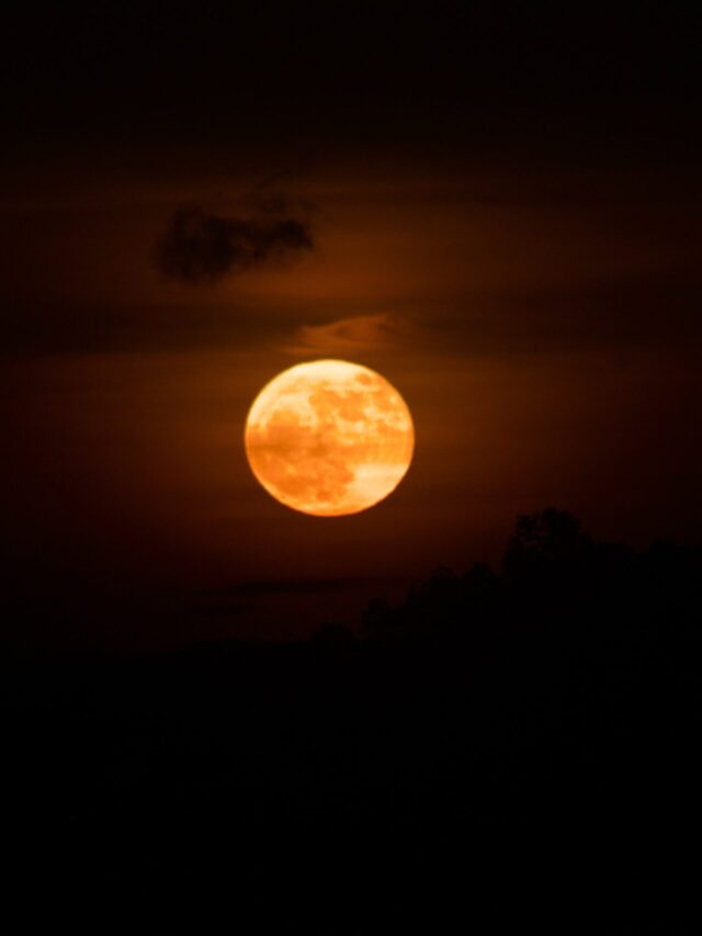 strawberry moon