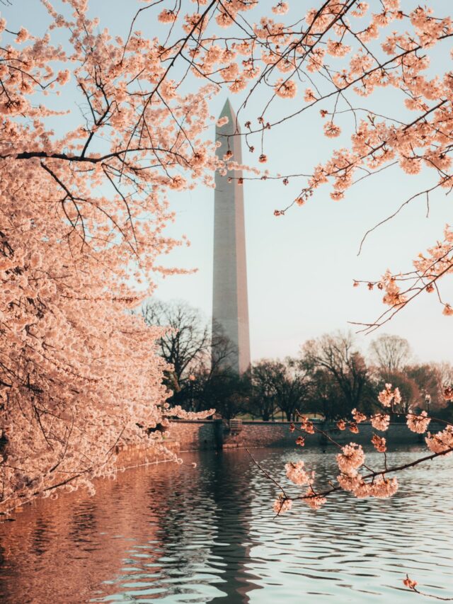 things to do in washington dc