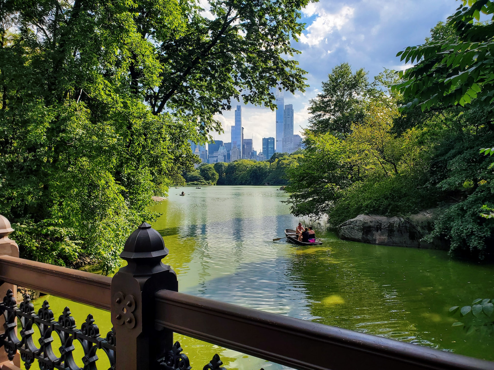 Beautiful Central Park Zoo An Urban Oasis Of Wildlife