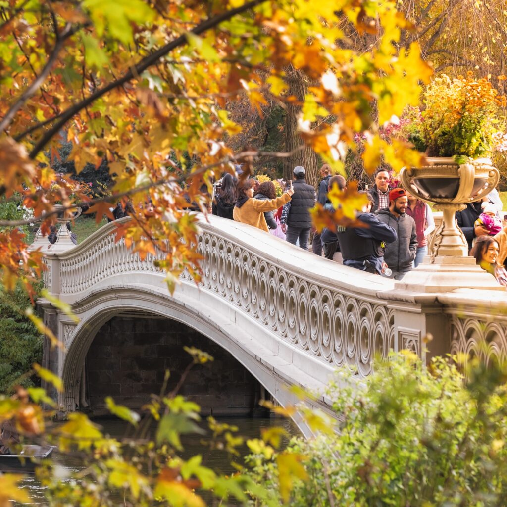 Central Park Zoo bride